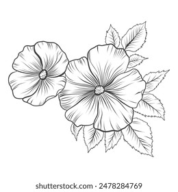 Rose vector illustration. Black and white floral vector illustration of a rose. Hand drawn line wedding herb, elegant wildflowers. Minimal line art drawing for print, cover or wallpaper