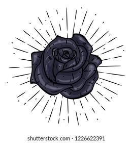 Rose. Vector illustration with a rose and divergent rays on white background. Used for poster, banner, web, t-shirt print, bag print, badges, flyer, logo design and more.