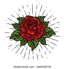 Rose. Vector illustration with a rose and divergent rays on white background. Used for poster, banner, web, t-shirt print, bag print, badges, flyer, logo design and more.