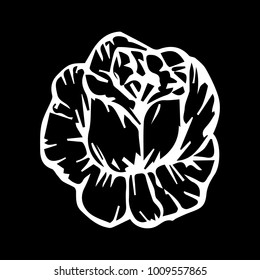 Rose vector illustration. Doodle style. Design, print, logo, decor, textile, paper.