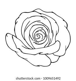 Rose vector illustration. Doodle style. Design, print, logo, decor, textile, paper.