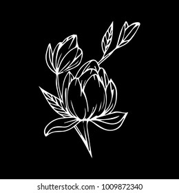 Rose vector illustration. Doodle style. Design, print, logo, decor, textile, paper.