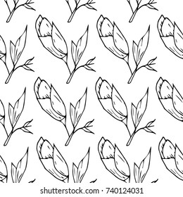Rose vector illustration. Doodle style. Design, print, logo, decor, textile, paper.