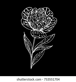 Rose vector illustration. Doodle style. Design, print, logo, decor, textile, paper.