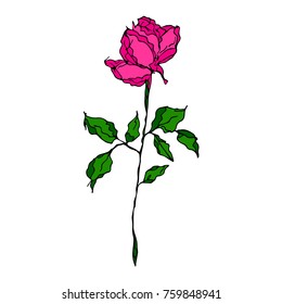 Rose vector illustration. Doodle style. Design, print, logo, decor, textile, paper