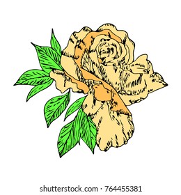 Rose vector illustration. Doodle style. Design, print, logo, decor, textile, paper