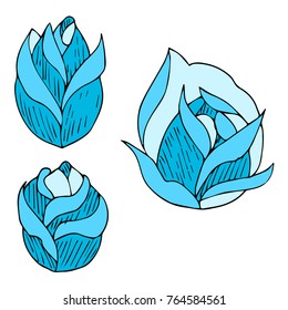 Rose vector illustration. Doodle style. Design, print, logo, decor, textile, paper