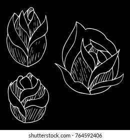 Rose vector illustration. Doodle style. Design, print, logo, decor, textile, paper