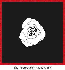 rose vector illustration eps10.