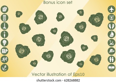 rose vector illustration eps10