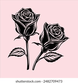 Rose vector illustration rose icon