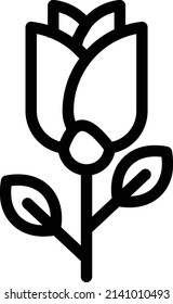 rose vector illustration isolated on a transparent background. stroke vector icons for concept or web graphics.