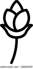 rose Vector illustration on a transparent background.Premium quality symmbols.Stroke vector icons for concept and graphic design.