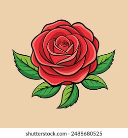 Rose vector illustration, red rose vector