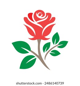 Rose vector illustrator white background