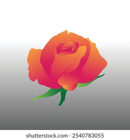 Descarga de diseño de Imagen de Vector rosa Gratis