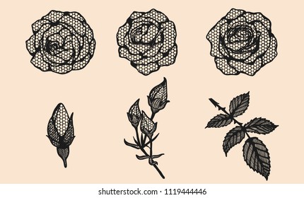 Rose vector lace by hand drawing.Beautiful flower on brown background.Rose lace art highly detailed in line art style.Flower tattoo on vintage paper.