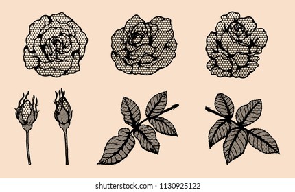 Rose vector lace by hand drawing.Beautiful flower on brown background.Rose lace art highly detailed in line art style.Flower tattoo on vintage paper.