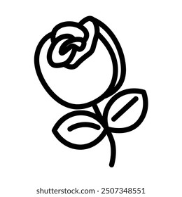 rose Vector Line Icon Design