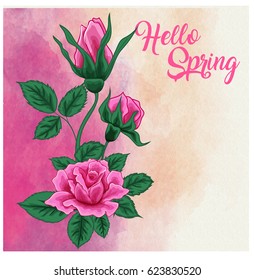 Rose vector on a watercolor background, can be used as greeting card