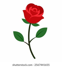 Rose vector  on white background