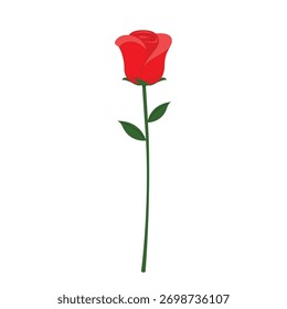 Vector de rosa sobre fondo blanco. Rosa roja aislada.