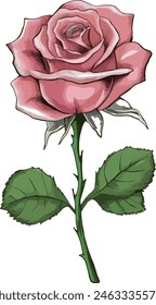 Rose Vector of Peach Color