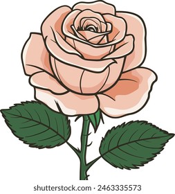 Rose Vector of Peach Color