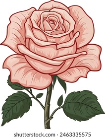 Vector rosa de color melocotón