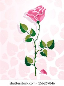 rose vector, pink rose, illustration of roses, rose petals, vector flower, Vector flowers, Rose Petals, festive rose, vector roses