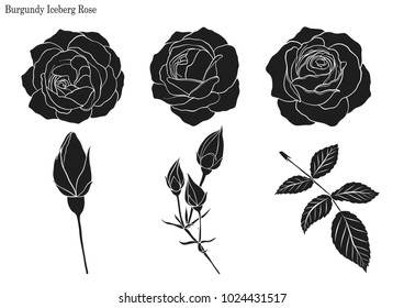 Rose Line Drawing Images, Stock Photos & Vectors | Shutterstock