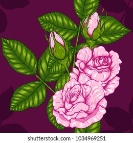 Rose vector set by hand drawing.Beautiful flower on vintage background.Rose art highly detailed in line art style.Rosa queen elizabeth rose