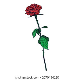 Rose vector sketch. Rose flower
