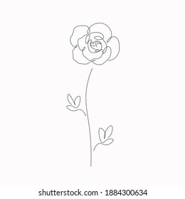 Rose vector, summer flowers isolated on white background. Continuous line drawing. Vector illustration