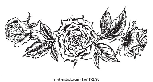 Rose vignette, black and white outline illustration, fabric print, tattoo design and other designs.