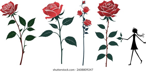 Rose vine, Valentine's Day decoration, red roses, roses
