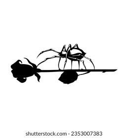 ilustración vectorial de araña de caminata rosa