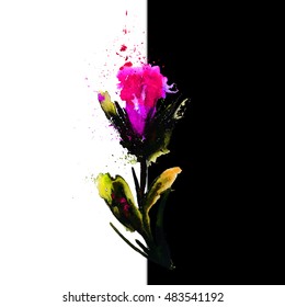 Rose watercolor abstract, splash, vector illustration
