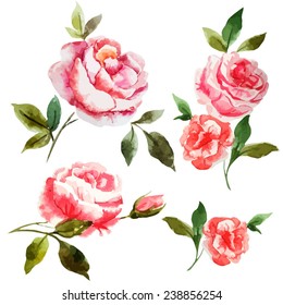 rose, watercolor, Shabby Chic