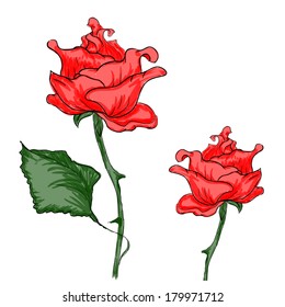 Rose in watercolor technic for womans day