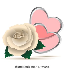 Rose of white color and two hearts on a white  background