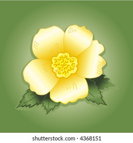 Rose, wild yellow heritage bloom, Rosa rugosa. EPS8 compatible.