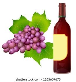 Rose wine and red grapes. Vector illustration of a bunch of red grapes and a bottle of pink wine.