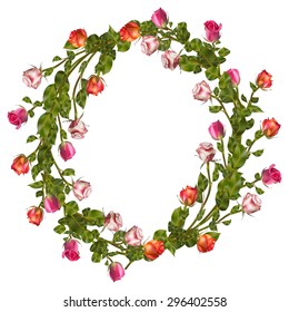 Rose wreath isolated on white background. EPS 10 vector file included