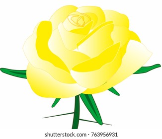 Rose yellow with thorn