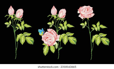 Rosa por ti
Conjunto de diseño de rosas en vector. Diseño de camisetas y vestidos, ilustración, libro y fondo.