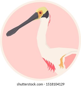 Roseate Spoonbill bird Vector illustration Round frame set