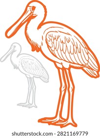 Roseate spoonbill color logo on white background.