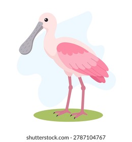 Roseate spoonbill standing gracefully, Roseate spoonbill displaying soft pink plumage, Platalea ajaja vector wildlife bird illustration.