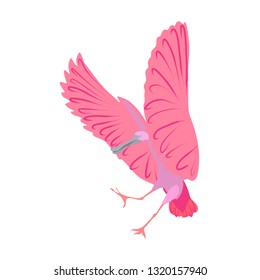 Roseate spoonbill vector isolated exotic bird pink color